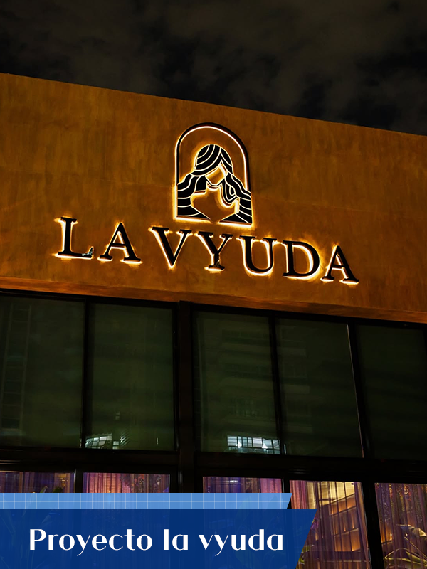 Proyecto la vyuda-ver1